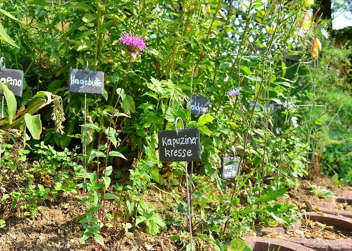 Naturhotel Taleu Hotel