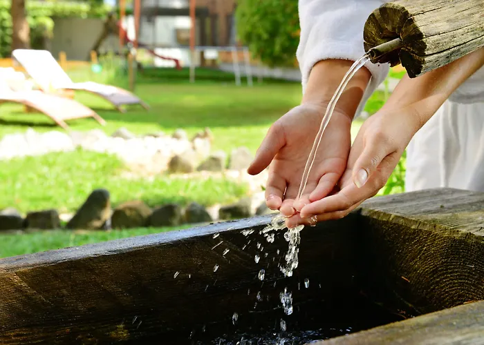 Naturhotel Taleu Bürserberg